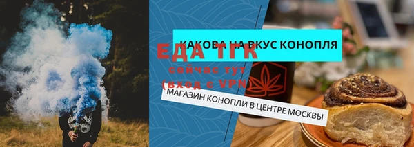 ешки Ельня
