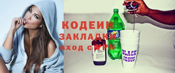 ешки Ельня