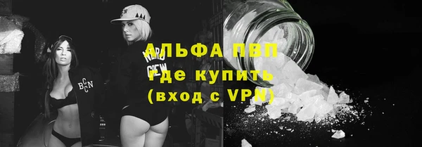ешки Ельня
