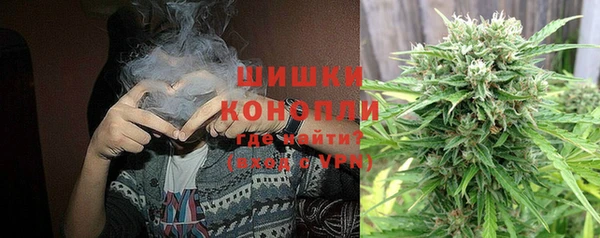 ешки Ельня