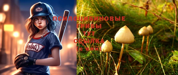 mix Елизово