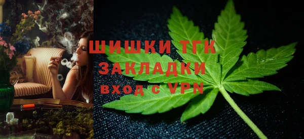 ешки Ельня