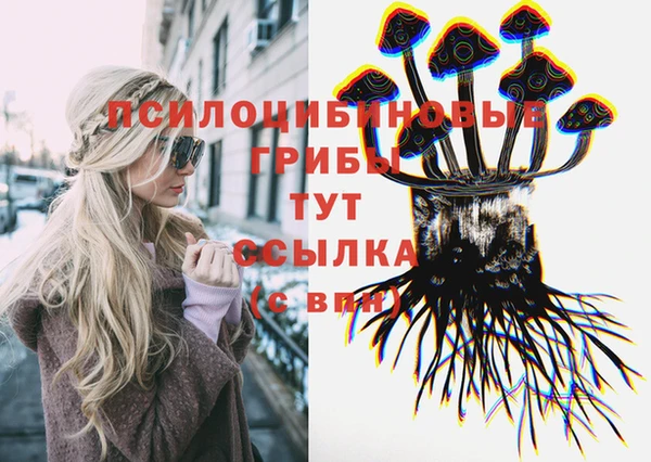 ешки Ельня
