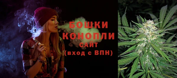 ешки Ельня