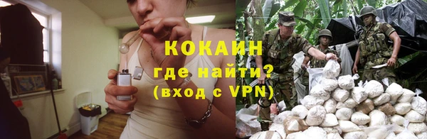 ешки Ельня