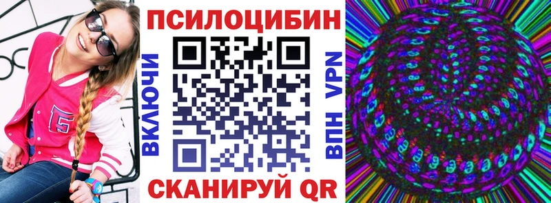 Купить  Новая Ладога  Псилоцибиновые грибы мицелий 