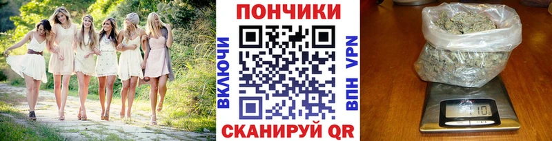 Каннабис план  Купить закладки  Новая Ладога 